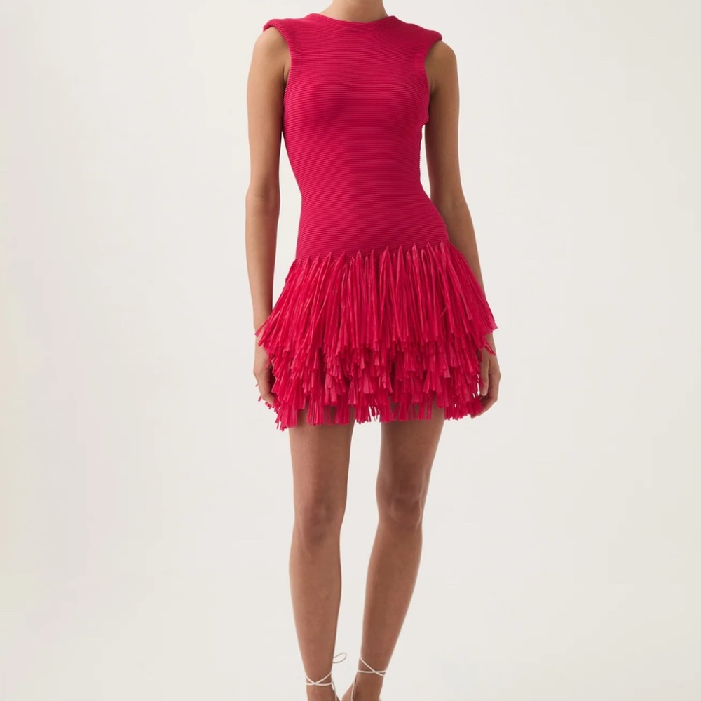 Aje Rushes Raffia Knit Mini Dress
